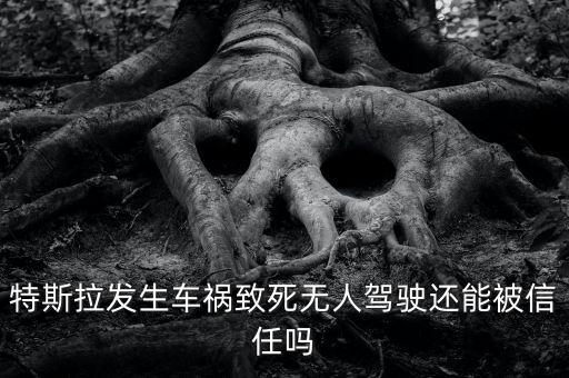 特斯拉發(fā)生車禍致死無人駕駛還能被信任嗎