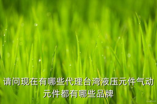 請(qǐng)問(wèn)現(xiàn)在有哪些代理臺(tái)灣液壓元件氣動(dòng)元件都有哪些品牌