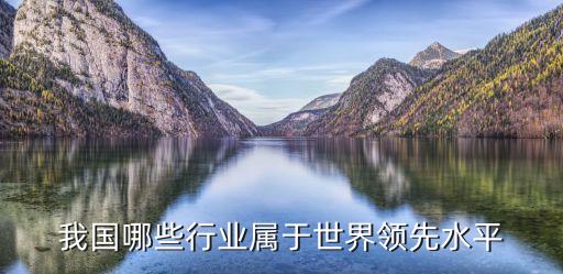 我國哪些行業(yè)屬于世界領(lǐng)先水平
