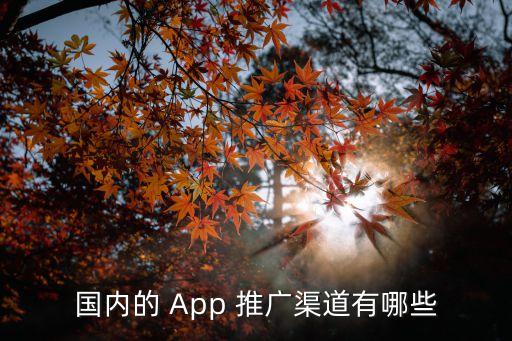 app推廣拉新一手渠道，APP初期上線有哪些比較靠譜的推廣渠道方式