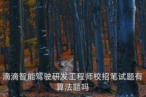 滴滴智能駕駛研發(fā)工程師校招筆試題有算法題嗎