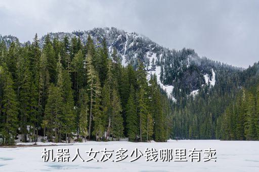 機器人女友多少錢哪里有賣