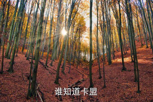 妄想山?？似脚_官網(wǎng)，卡盟后臺網(wǎng)址
