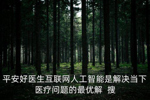 平安好醫(yī)生互聯(lián)網(wǎng)人工智能是解決當(dāng)下醫(yī)療問題的最優(yōu)解  搜