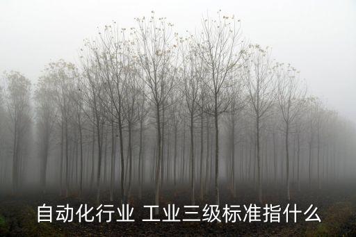 自動化行業(yè) 工業(yè)三級標準指什么