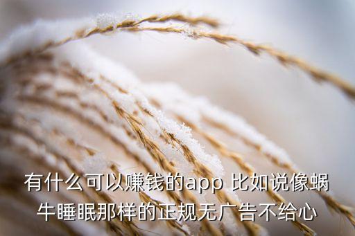 黑科技賺錢app秒提現(xiàn)，有什么可以賺錢的app 比如說(shuō)像蝸牛睡眠那樣的正規(guī)無(wú)廣告不給心