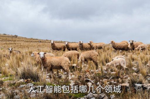 人工智能包括哪幾個(gè)領(lǐng)域