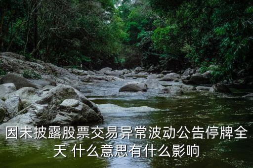 邁童科技停牌，因未披露股票交易異常波動(dòng)公告停牌全天 什么意思有什么影響