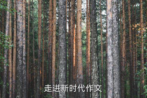 走進(jìn)新時(shí)代作文