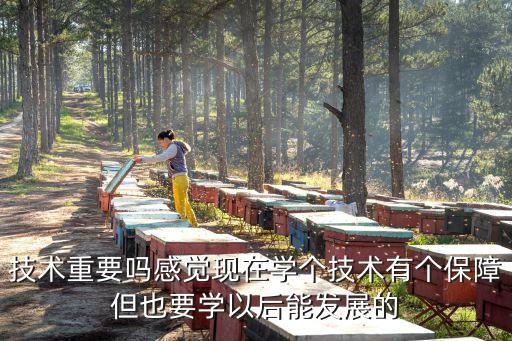 技術(shù)重要嗎感覺現(xiàn)在學(xué)個(gè)技術(shù)有個(gè)保障但也要學(xué)以后能發(fā)展的