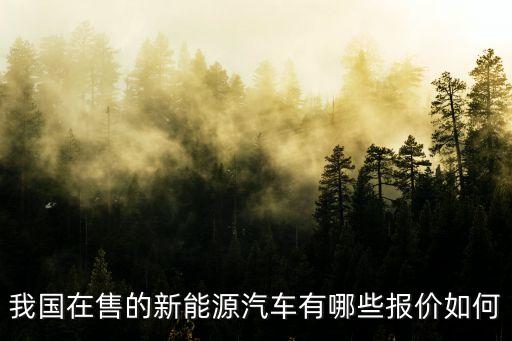 我國在售的新能源汽車有哪些報(bào)價(jià)如何