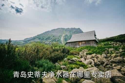 史蒂夫深圳科技有限公司，深圳市史蒂夫科技有限公司怎么樣