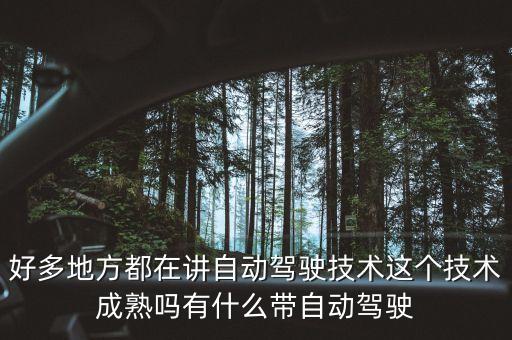 自動(dòng)駕駛技術(shù)不成熟，東風(fēng)日產(chǎn)的自動(dòng)駕駛技術(shù)成熟嗎