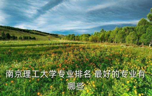 南京理工大學(xué)專業(yè)排名 最好的專業(yè)有哪些