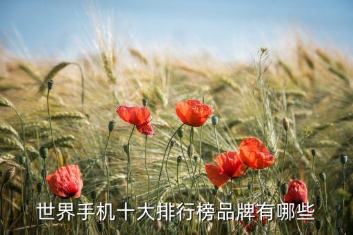 世界手機(jī)十大排行榜品牌有哪些