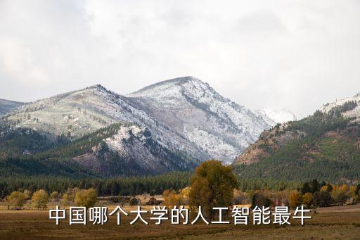 中國哪個大學(xué)的人工智能最牛