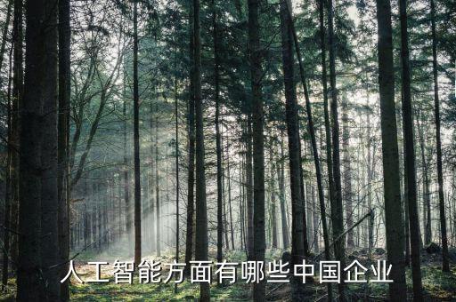 人工智能知名企業(yè)排名，IT最強(qiáng)公司排名