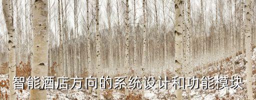 智能系統(tǒng)設(shè)計(jì)方向，智能酒店方向的系統(tǒng)設(shè)計(jì)和功能模塊