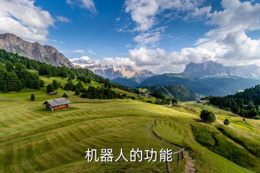 機(jī)器人的功能