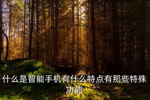 什么是智能手機(jī)有什么特點有那些特殊功能