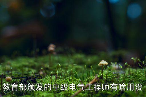 全國(guó)工業(yè)自動(dòng)化培訓(xùn)項(xiàng)目，教育部頒發(fā)的中級(jí)電氣工程師有啥用沒