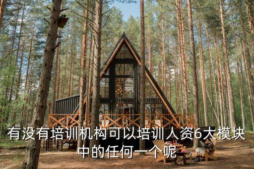 有沒有培訓(xùn)機(jī)構(gòu)可以培訓(xùn)人資6大模塊中的任何一個(gè)呢