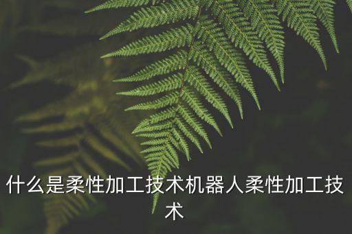 什么是柔性加工技術(shù)機(jī)器人柔性加工技術(shù)