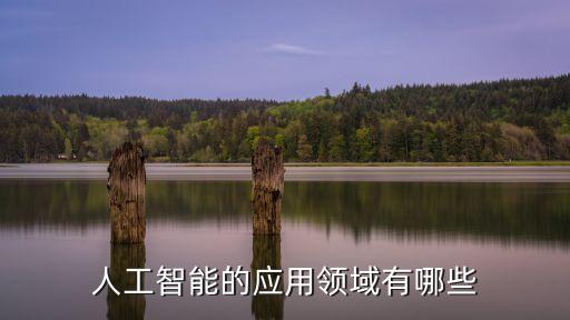 人工智能的應(yīng)用領(lǐng)域有哪些