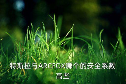 特斯拉與ARCFOX哪個的安全系數(shù)高些