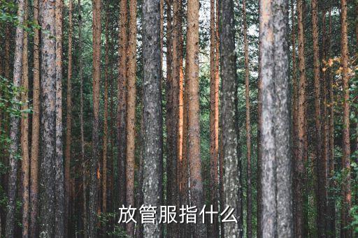 琶洲數(shù)字經(jīng)濟(jì)改革創(chuàng)新試驗(yàn)區(qū)，如何在中國(guó)自由貿(mào)易試驗(yàn)區(qū)建設(shè)中體現(xiàn)法治引領(lǐng)改革