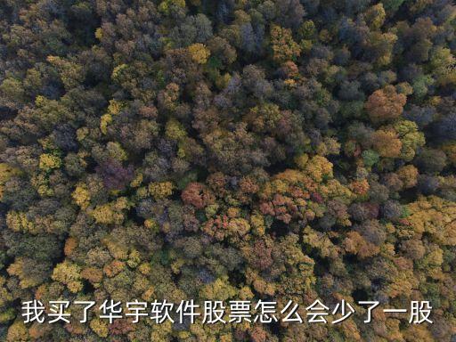 華宇軟件東方財富，萬戶怎么突然就被華宇軟件收購了呀給我一個理由啊