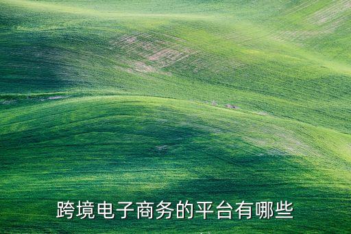 跨境電商服務(wù)平臺(tái)，跨境電子商務(wù)的平臺(tái)有哪些