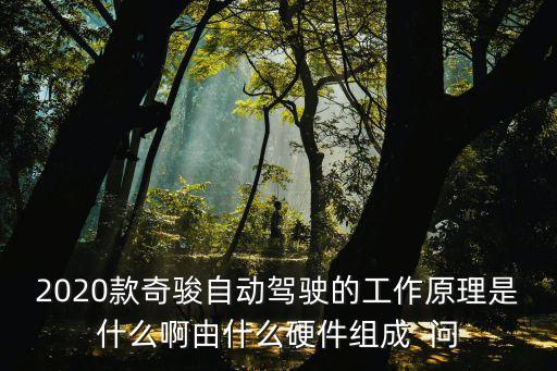2020款奇駿自動(dòng)駕駛的工作原理是什么啊由什么硬件組成  問