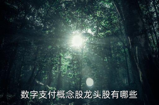 數(shù)字支付概念股龍頭股有哪些