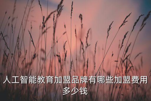 人工智能投資項目加盟，Ai教育加盟