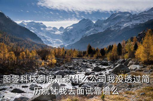 圖零科技到底是家什么公司我沒(méi)透過(guò)簡(jiǎn)歷就讓我去面試靠譜么