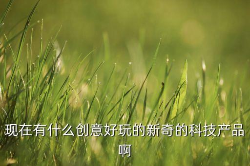 現(xiàn)在有什么創(chuàng)意好玩的新奇的科技產(chǎn)品啊