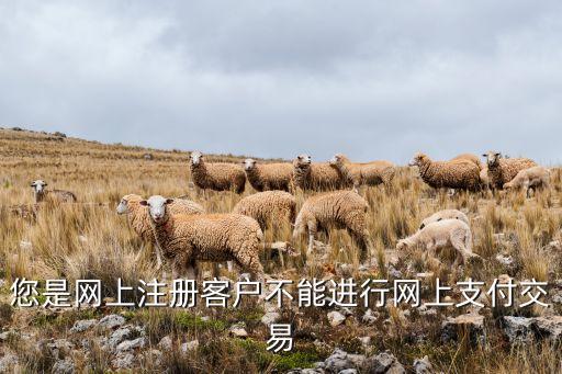 您是網(wǎng)上注冊(cè)客戶不能進(jìn)行網(wǎng)上支付交易