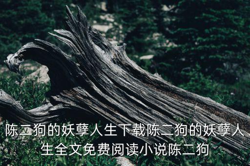 我的巔峰時(shí)代小說免費(fèi)，葉青的故事全文免費(fèi)閱讀
