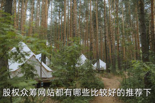 股權(quán)眾籌網(wǎng)站都有哪些比較好的推薦下