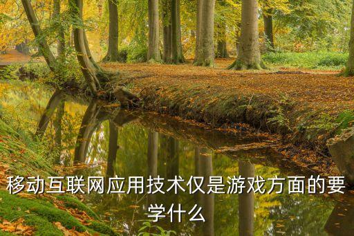 移動互聯(lián)網(wǎng)應(yīng)用技術(shù)專業(yè)學(xué)什么，有誰知道移動互聯(lián)應(yīng)用技術(shù)這個專業(yè)是干嘛的嗎