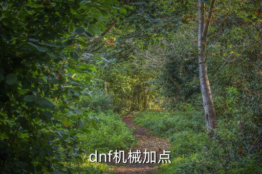 dnf機(jī)械加點(diǎn)