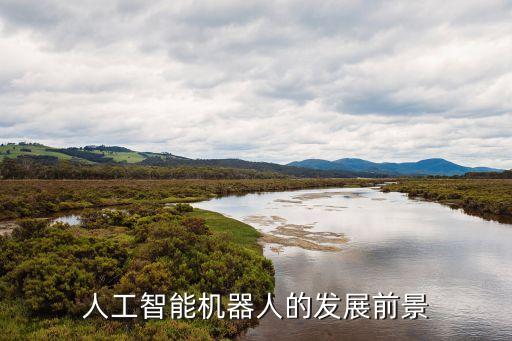 人工智能機(jī)器人的發(fā)展前景