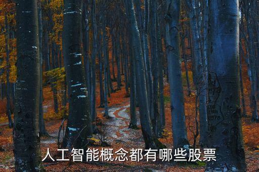 人工智能概念都有哪些股票