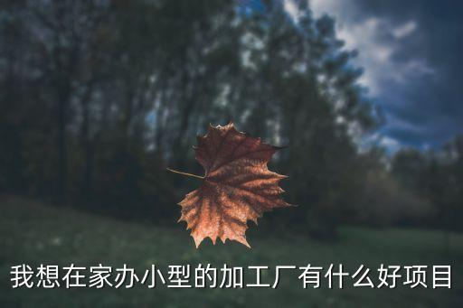 適合在家的小型加工廠，在家開個小型工廠生產(chǎn)什么東西好