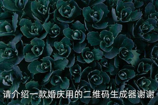 請介紹一款婚慶用的二維碼生成器謝謝
