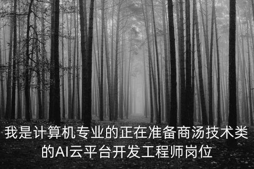 我是計(jì)算機(jī)專(zhuān)業(yè)的正在準(zhǔn)備商湯技術(shù)類(lèi)的AI云平臺(tái)開(kāi)發(fā)工程師崗位