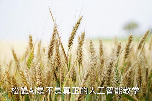 松鼠Ai是不是真正的人工智能教學(xué)