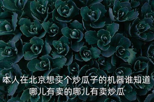 本人在北京想買個炒瓜子的機器誰知道哪兒有賣的哪兒有賣炒瓜