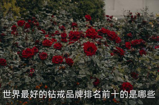 世界最好的鉆戒品牌排名前十的是哪些
